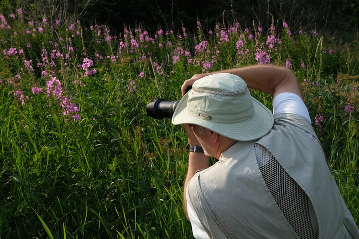 Exclusive Photography Tour Haines Departure - Photo 1 of 11
